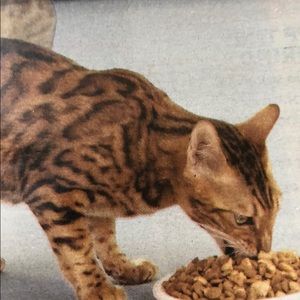 Meet your Posher, Thuha